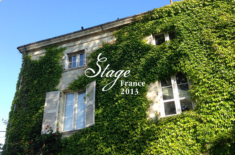 Stage : France 2013